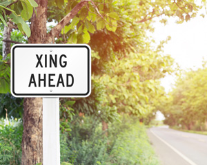 Crossing Xing Sign