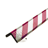 H+ Corner Bumper Silver/Red with Stainless Steel Support