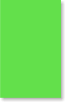 Fluorescent Green Color Coded Labels