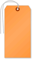 (6¼ in. x 3 1/8 in.)  Fluorescent Orange Tag