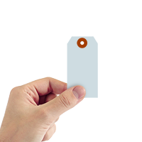 Light Blue Cardstock Tags