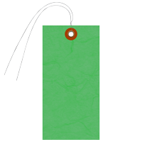 Green Tyvek Shipping Tag With Wire And Metal Eyelet